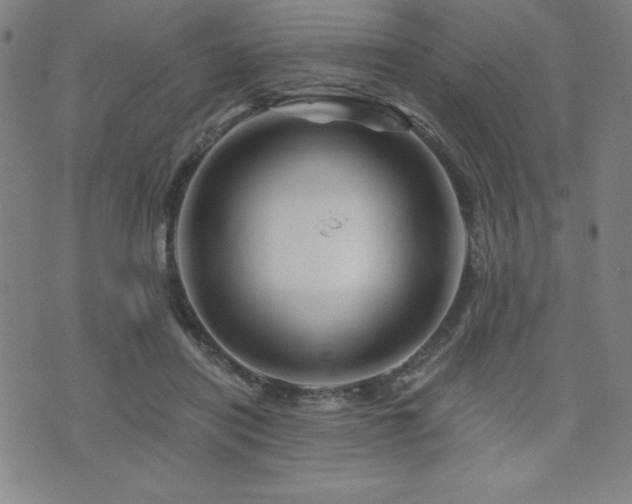 X0000073430454200607281155