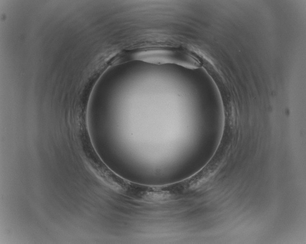 X0000073430455200607281155
