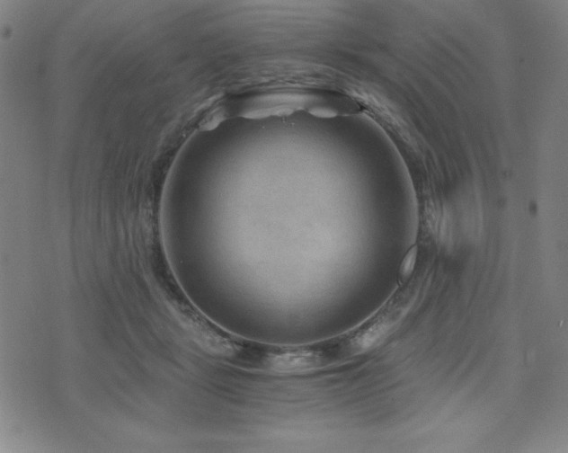 X0000073430461200607281155
