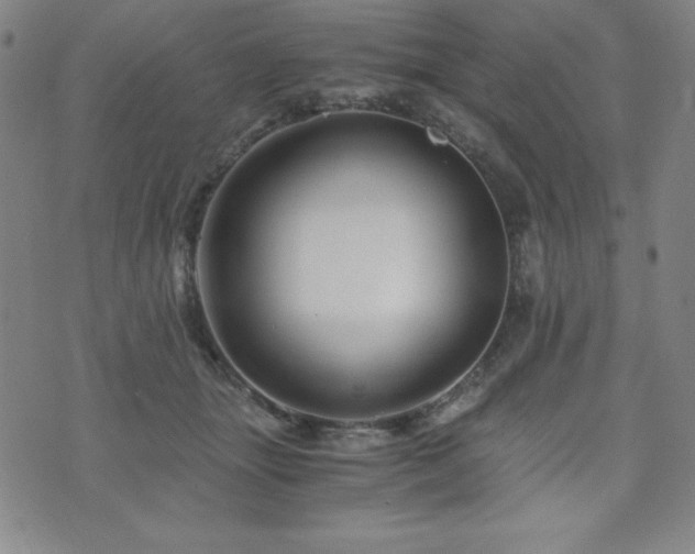X0000073430463200607281155