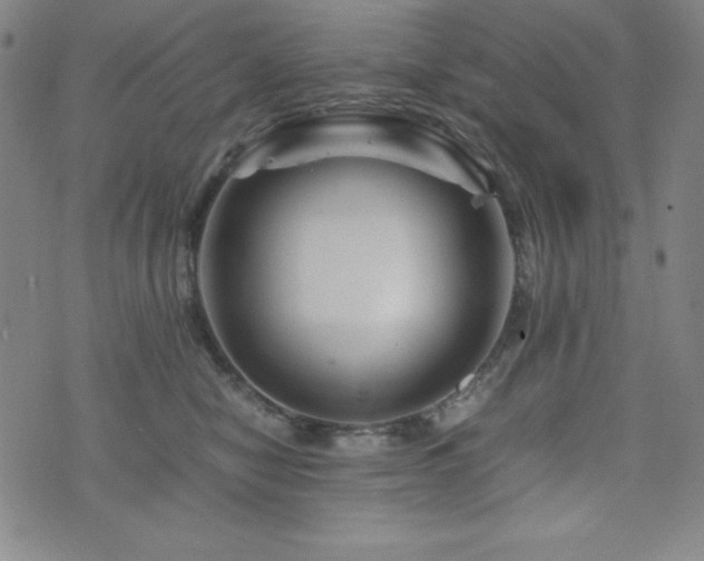 X0000073430470200607281156
