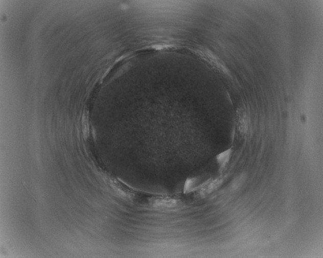 X0000073430471200607281156