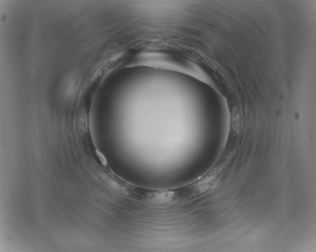 X0000073430474200607281156