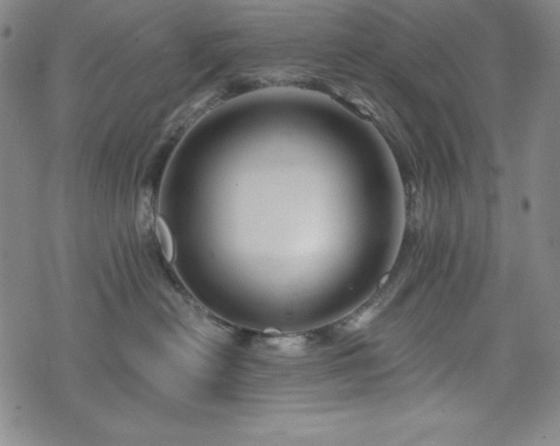 X0000073430478200607281156