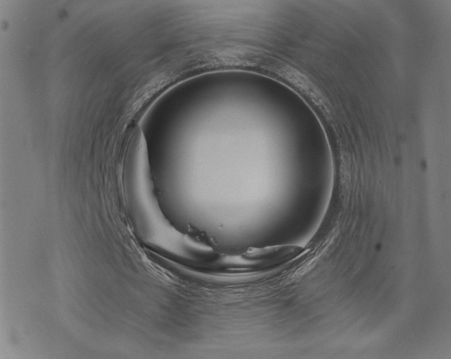 X0000073430481200607281155