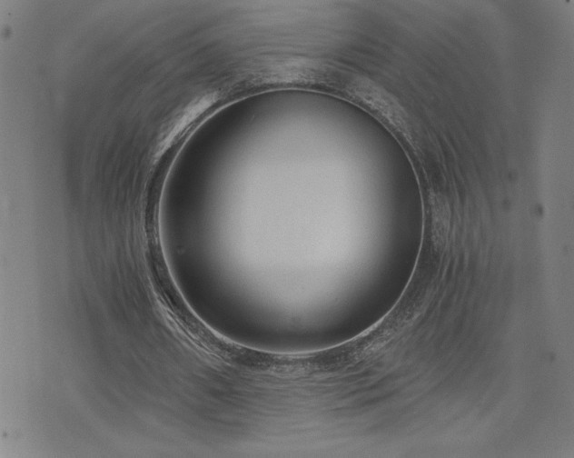 X0000073430482200607281155