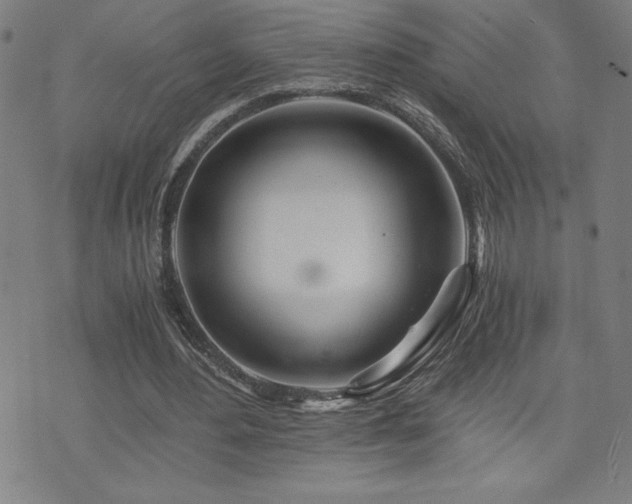 X0000073430484200607281155