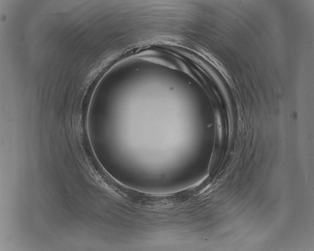 X0000073430485200607281155
