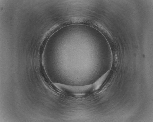 X0000073430492200607281155