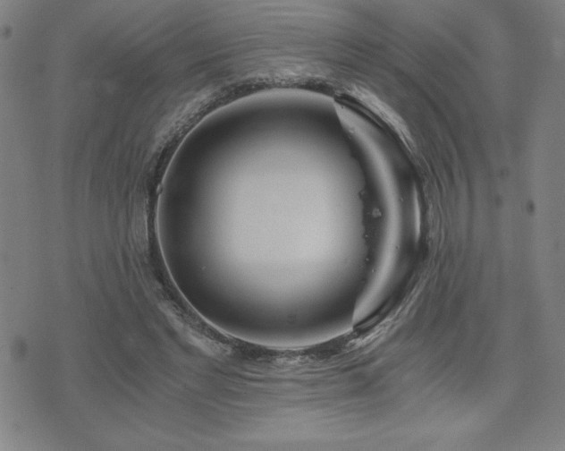 X0000073430493200607281155
