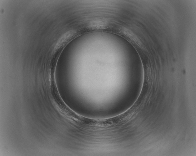 X0000073430494200607281155