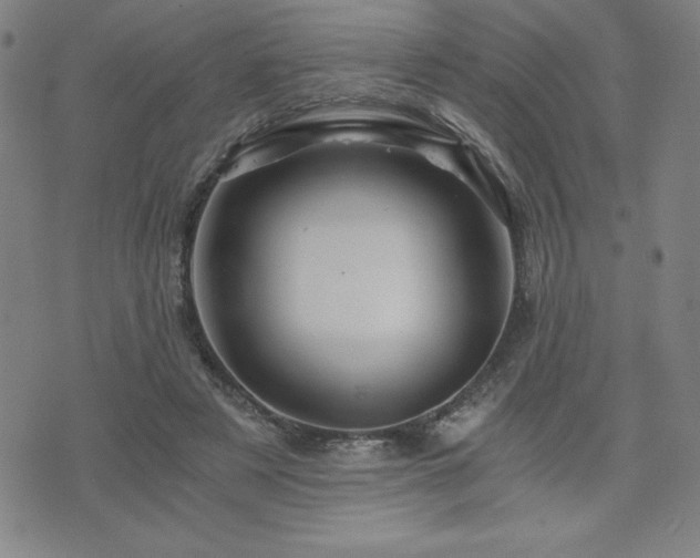X0000073430497200607281155