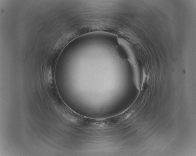 X0000073430502200607281155