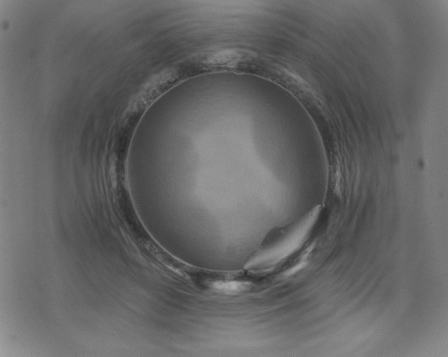 X0000073430504200607281155