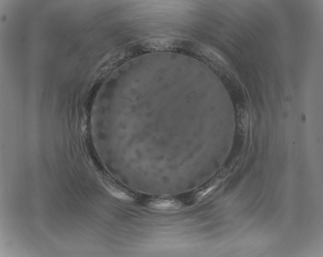 X0000073430507200607281155