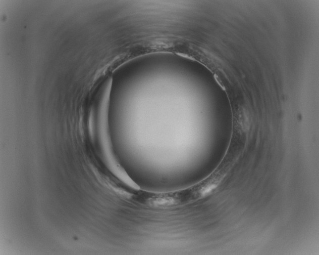 X0000073430512200607281154