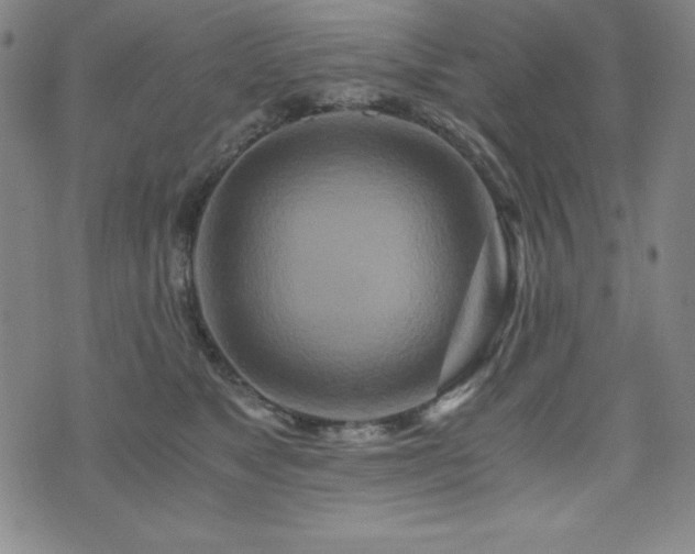 X0000073430517200607281154