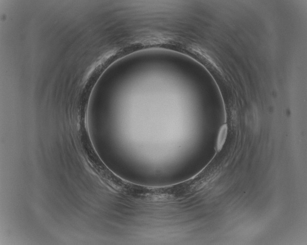 X0000073430539200607281154