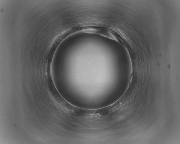 X0000073430543200607281154
