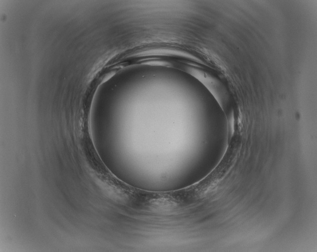 X0000073430544200607281154
