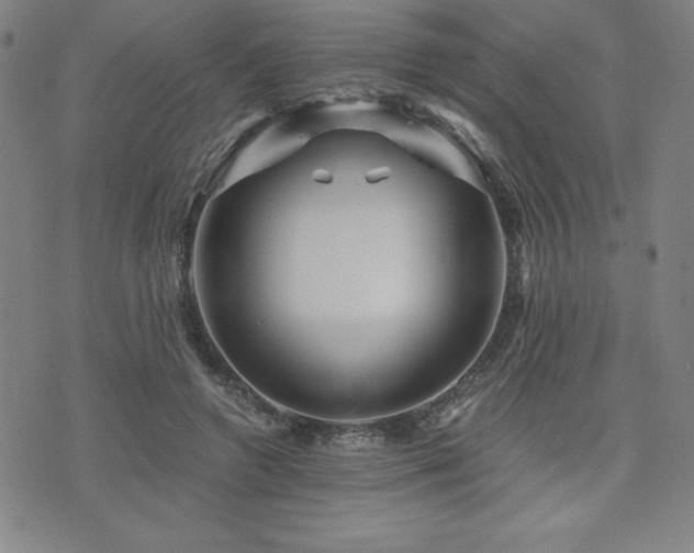 X0000073430546200607281154