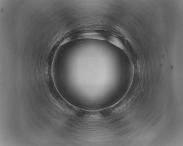 X0000073430548200607281154