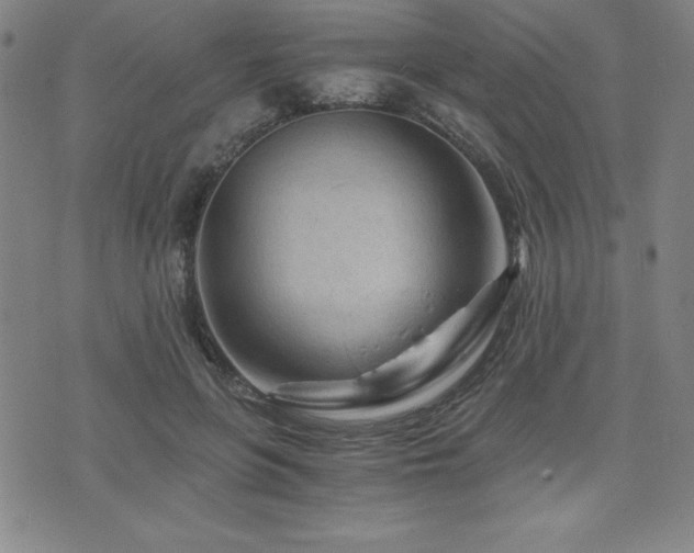 X0000073430551200607281154