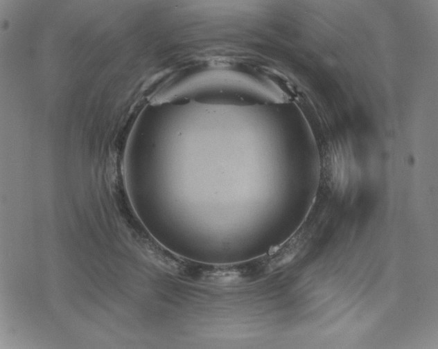 X0000073430554200607281154