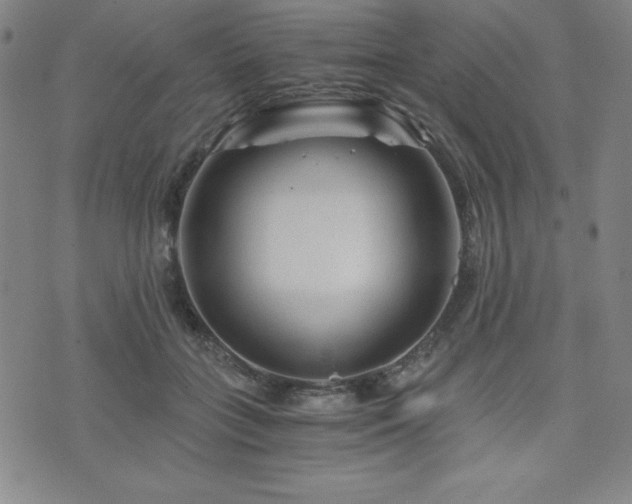 X0000073430555200607281154