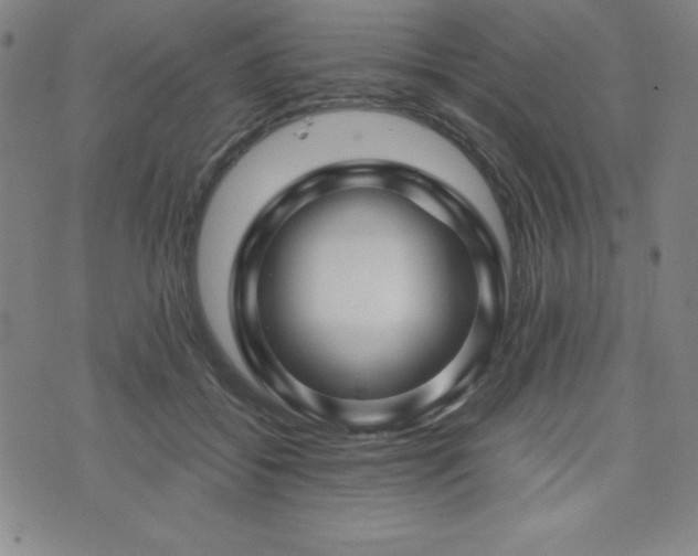 X0000073430556200607281154