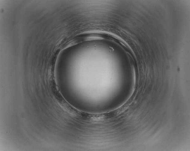 X0000073430560200607281154