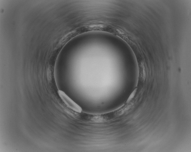 X0000073430562200607281154