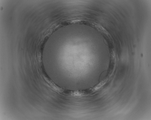 X0000073430565200607281154