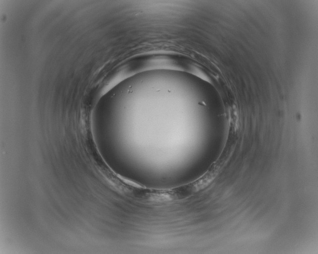 X0000073430572200607281154
