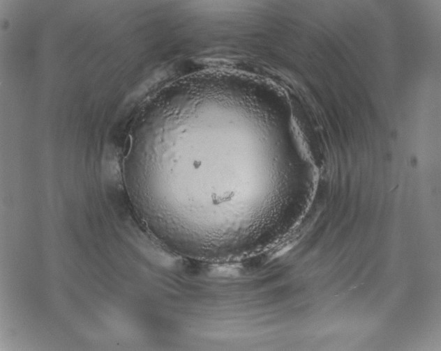 X0000073430573200607281154
