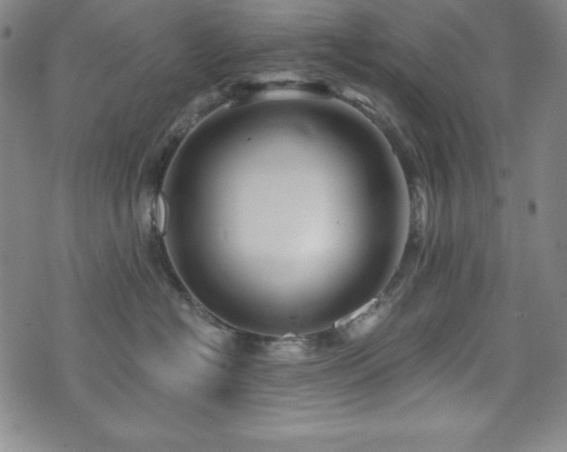 X0000073430574200607281154