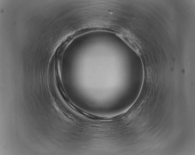 X0000073430580200607281153