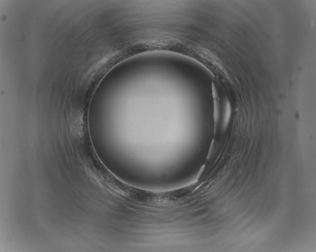 X0000073430596200607281153