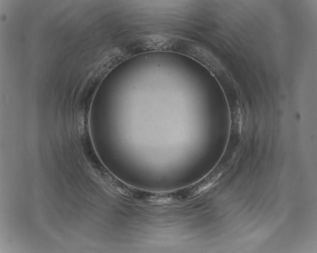 X0000073430602200607281153