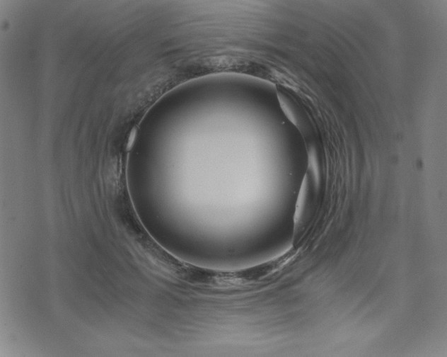 X0000073430605200607281153