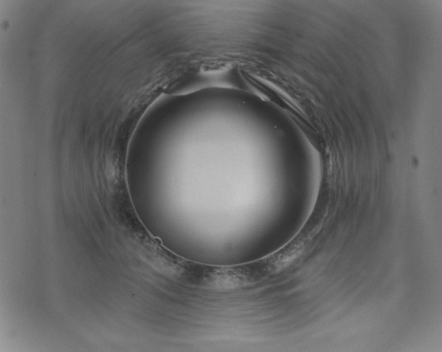 X0000073430608200607281153