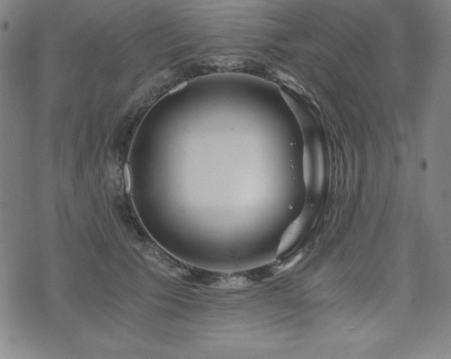 X0000073430609200607281153