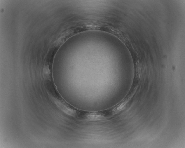 X0000073430614200607281153