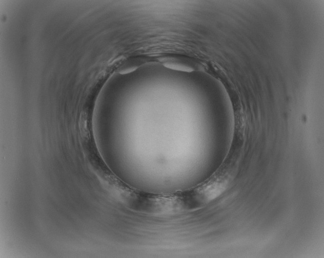 X0000073430615200607281153