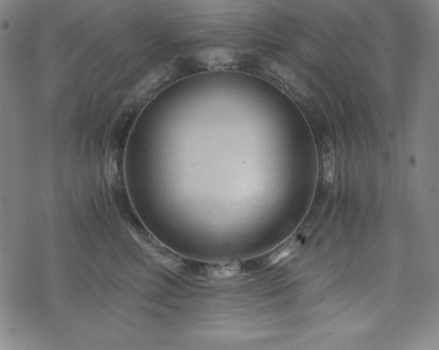 X0000073430618200607281153