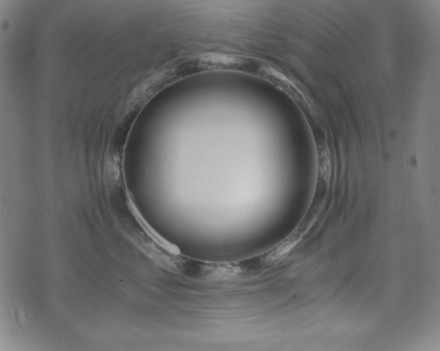 X0000073430621200607281153