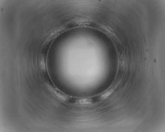 X0000073430622200607281153
