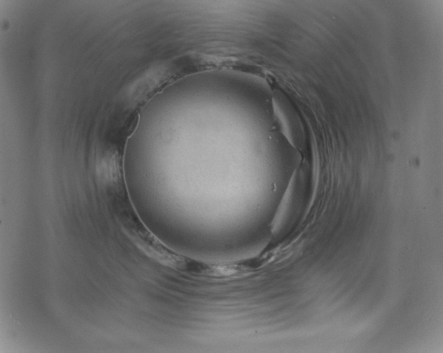 X0000073430623200607281153
