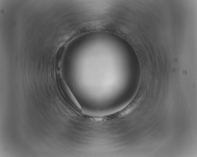 X0000073430624200607281153