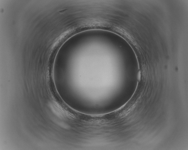 X0000073430629200607281152